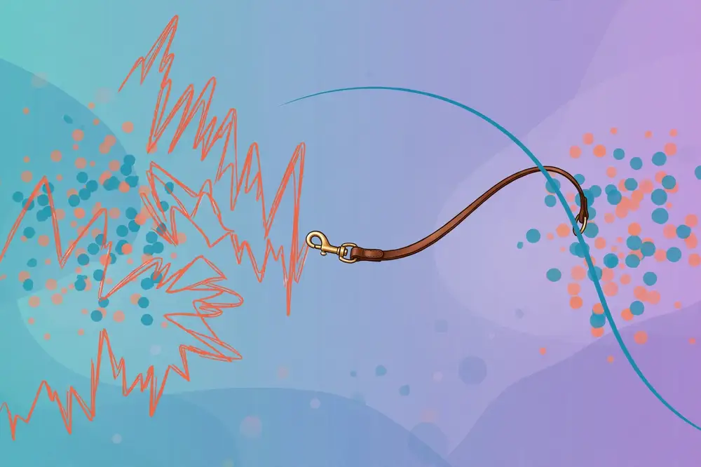 Figure 2: Regularization as a leash — constraining a complex, wiggly model into a smooth one.